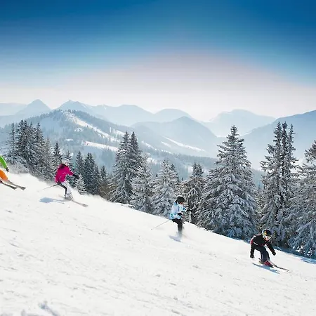 Privatzimmer Eva Leitgeb Dom wakacyjny Faistenau